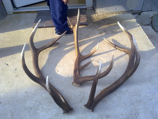 ked neprši aspon kvapka