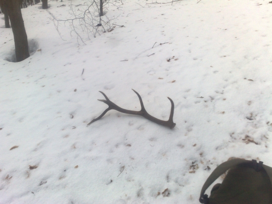 dnes len taky menši