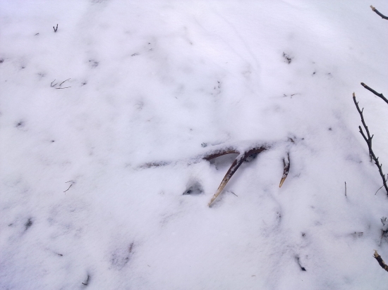 kamarad mne sa neschovaš-14storak