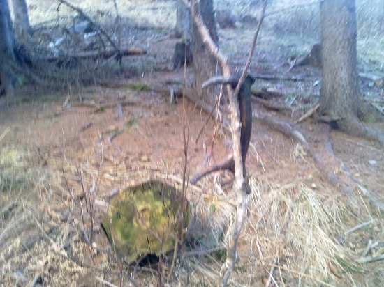 nechal som ho pre druhých