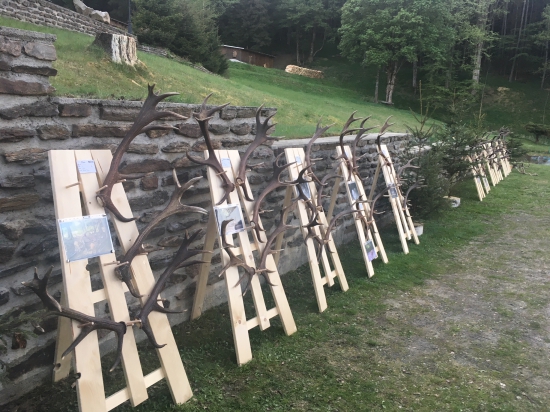 niečo od nas zo šumavy po sezone