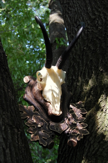 podložka na kamzíka  k 50-ke