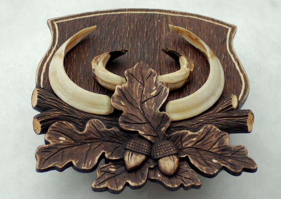 pod diviaka no nie toho bo na ten bude lepšia:)