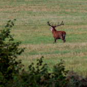 už sa pomaličky zbieraju :)