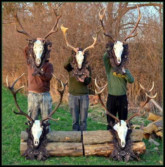 nová seria podložiek na prechadzke:)