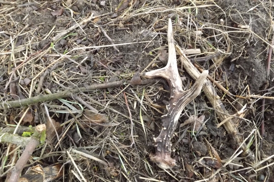 Minulý rok-Moj prvý zhod