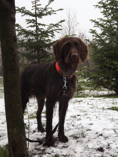 Spol.na diviaky-Moja dnešná pracantka