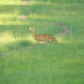 Mama ja sa nechcem fotit ...