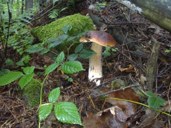 už to vypuklóó!!!