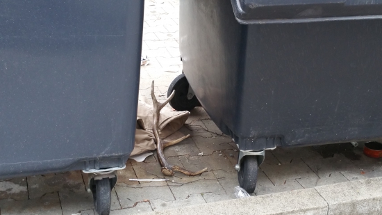 Pohľad na zaplakanie...