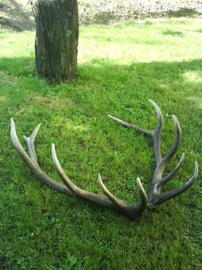 nepotrebuje komentár