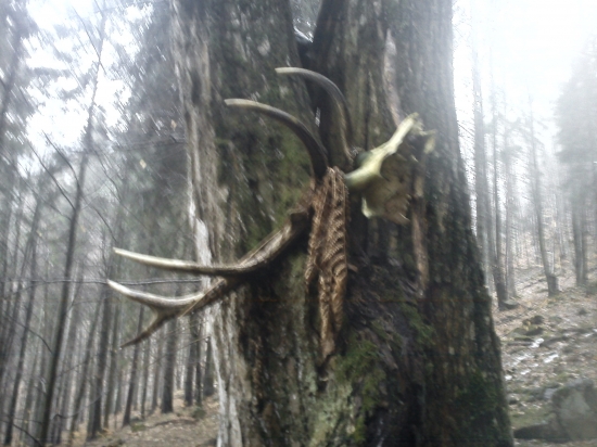 na veľjej som našiel