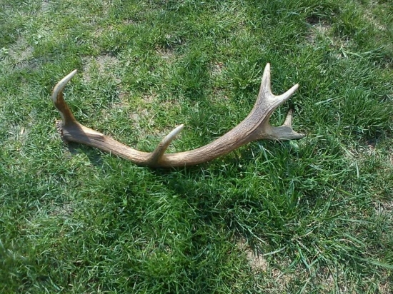 Bratrancov -sezóna 2012