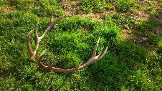 trochu z iného uhlu