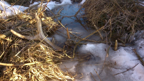 takuštičko si poležal