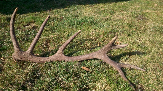 keď sa ocovi darí :D