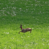 už zasa letíííím...  :)