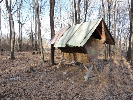 Zásoba bola dostatočná