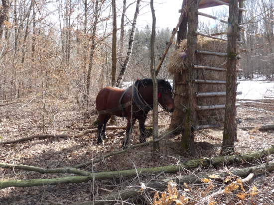 Tu by som radšej videl iného 