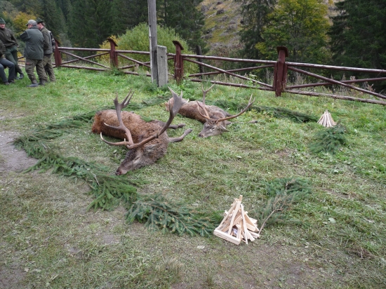 Ulovená zver si zaslúži primeranú úctu