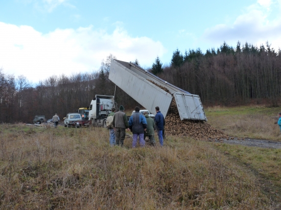 Aby zver netrpela núdzu