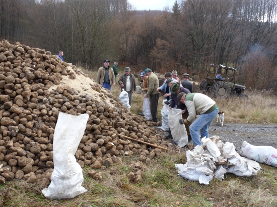 Každý priložil ruku k dielu ...