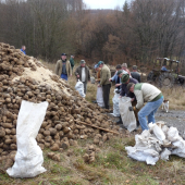 Každý priložil ruku k dielu ...