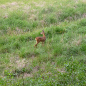 Čo ma to vyrušuje...
