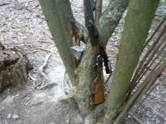 Ďaľšie doplnenie sloliska