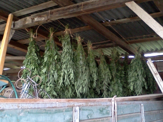 Príprava na zimu...