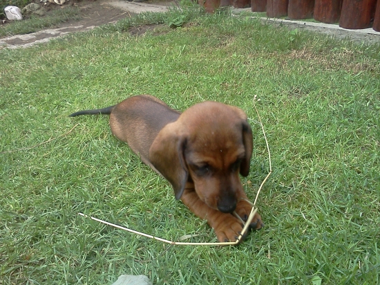 Darček k osemnástke