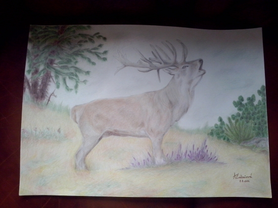 Práca mojej kamarátky