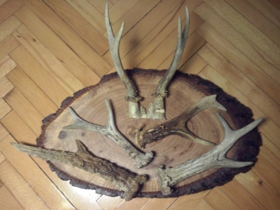 Dnešná práca na zahnanie nudy