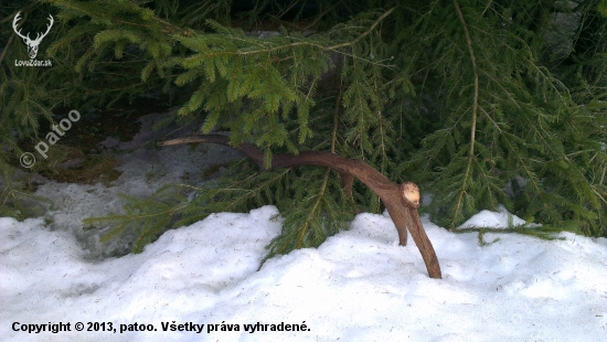 už ho mám :D