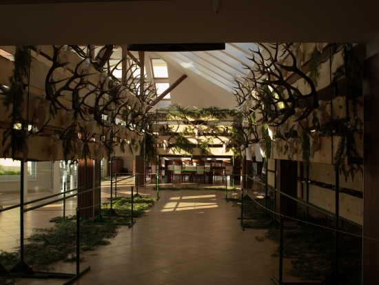 Žitnoostrovské poľovnícke slávnosti v Báči 2010