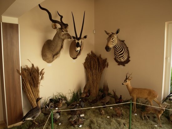 Žitnoostrovské poľovnícke slávnosti v Báči 2010