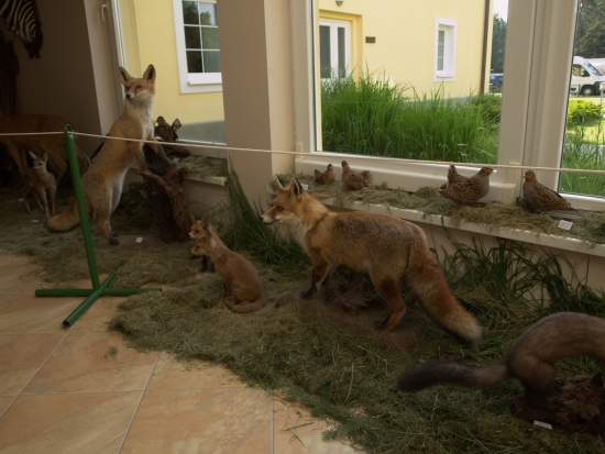 Žitnoostrovské poľovnícke slávnosti v Báči 2010