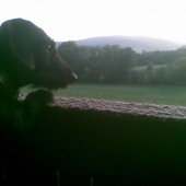 v ten vecer sme spolu strelili raritneho srnca