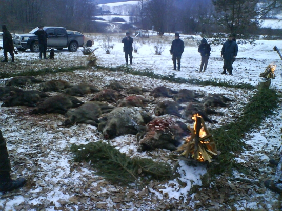 uspesna polovacka...