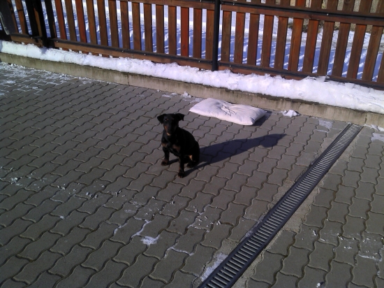 Princezná na slniečku