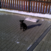 Princezná na slniečku