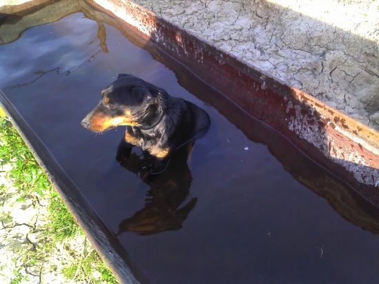 Trochu osviezenia po dlhej prechadzke