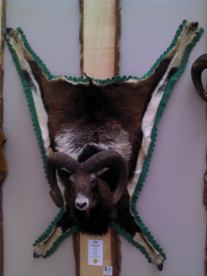 Incheba 2011 Zlaty Muflon