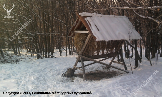 Sobotňajšie prikrmovanie