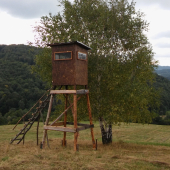 Nový
