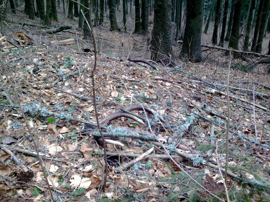 asi mu ich dnes odfuklo v tej víchrici