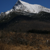 Kalamita pod Kriváňom