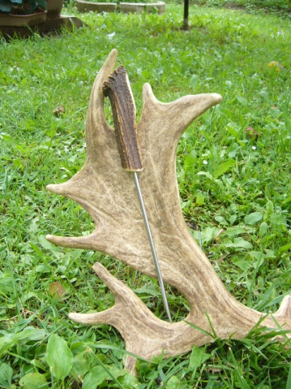 Sokoliarsky doražak