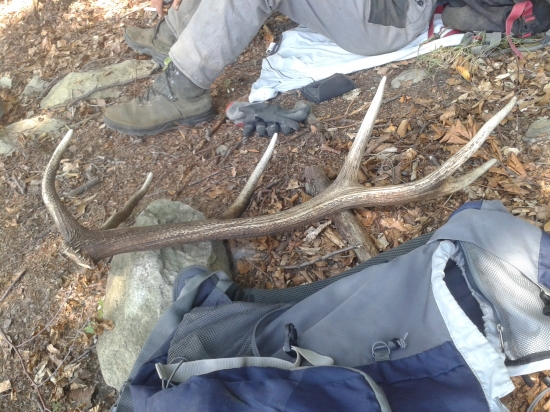 Dnešny v praci a celkom velky