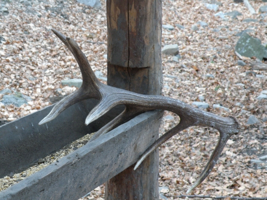 Takto na mna cakal :D